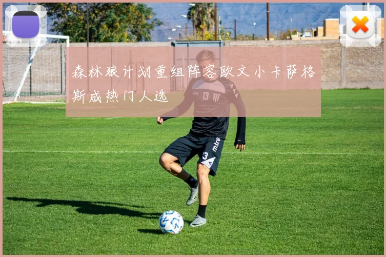 森林狼计划重组阵容欧文小卡萨格斯成热门人选