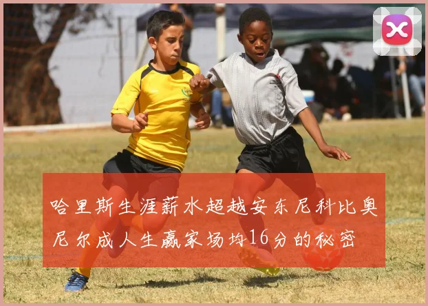 哈里斯生涯薪水超越安东尼科比奥尼尔成人生赢家场均16分的秘密